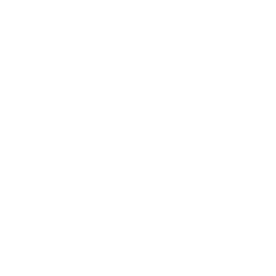 Sausage