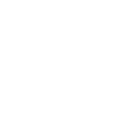Snaks